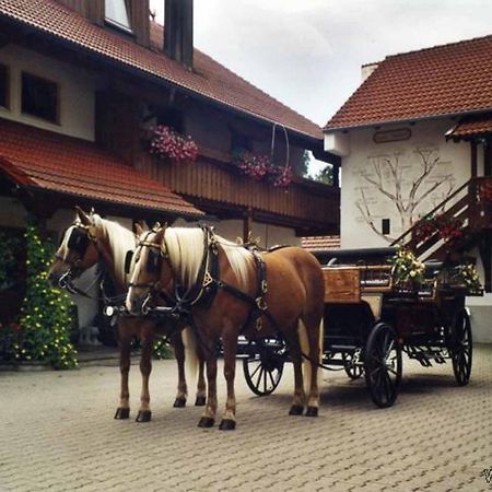 Appartementhaus Haflinger Hof Bad Füssing Buitenkant foto