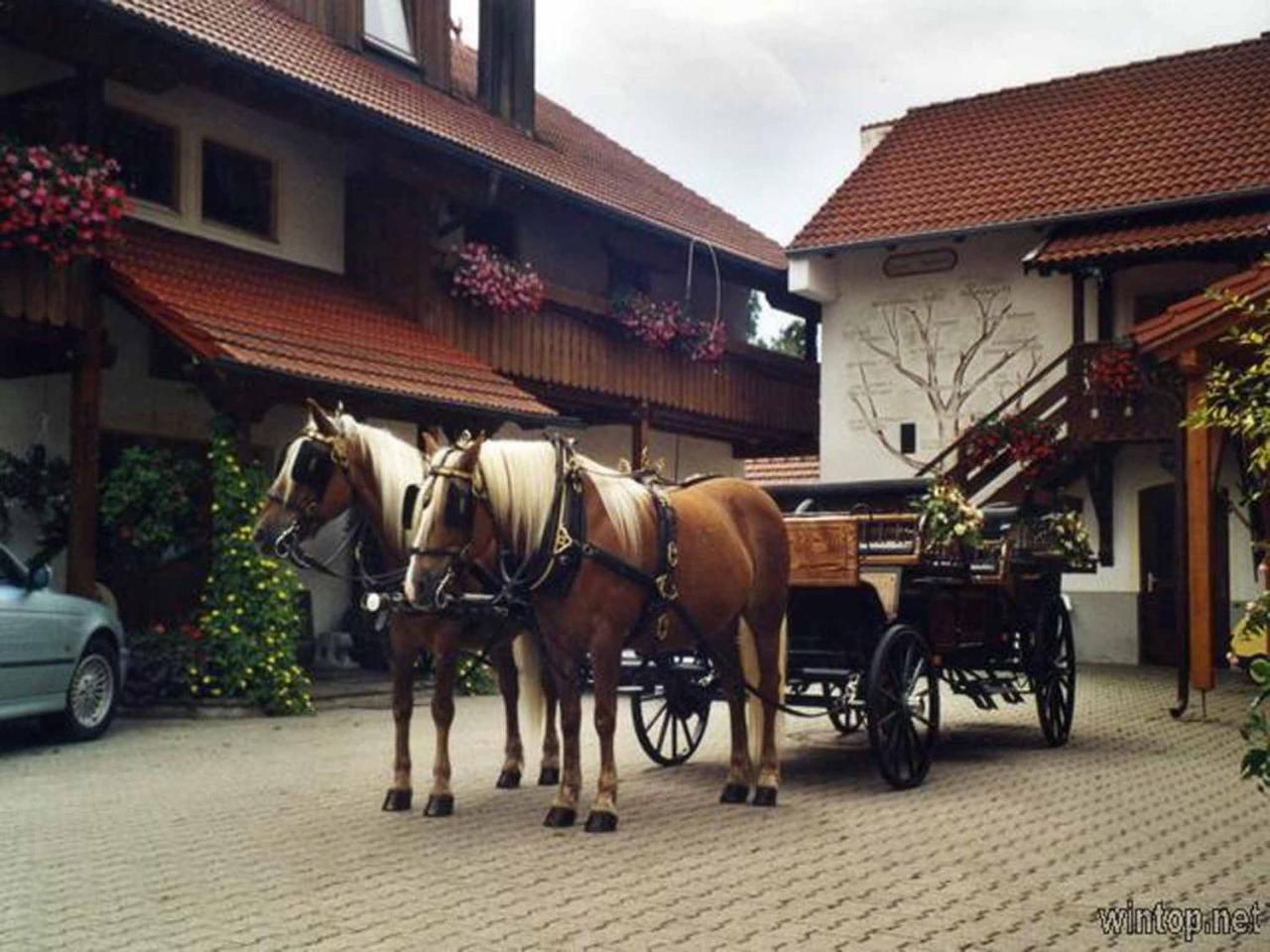 Appartementhaus Haflinger Hof Bad Füssing Buitenkant foto